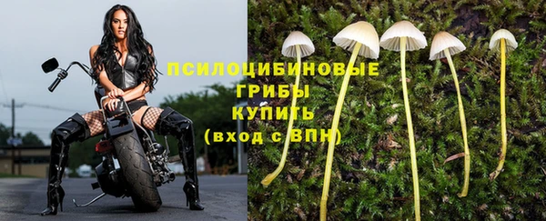 ECSTASY Верхний Тагил