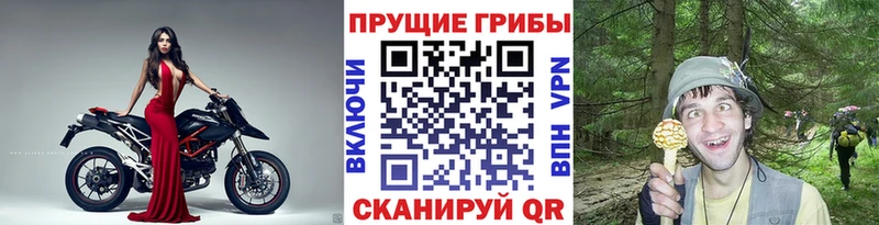 Псилоцибиновые грибы GOLDEN TEACHER  Канск 